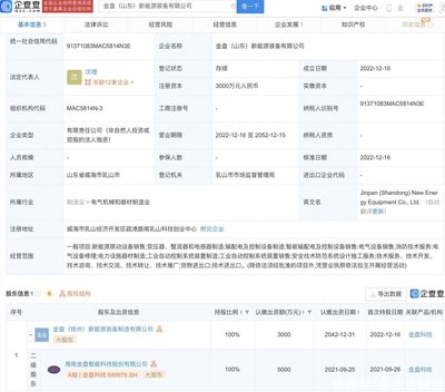 金盘科技于山东投资设立新能源装备公司